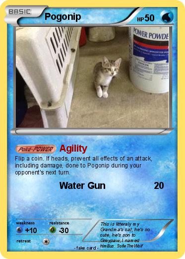 Pokemon Pogonip