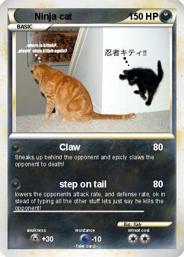 Pokemon Ninja cat