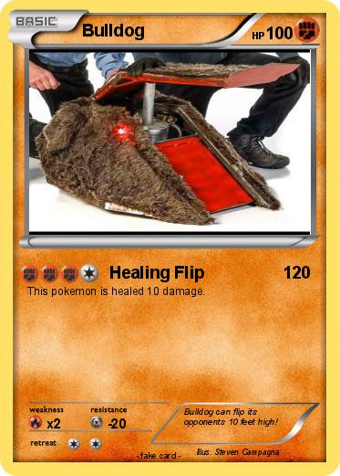 Pokemon Bulldog