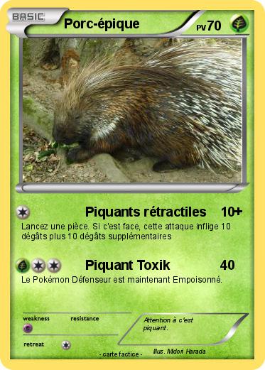 Pokemon Porc-épique