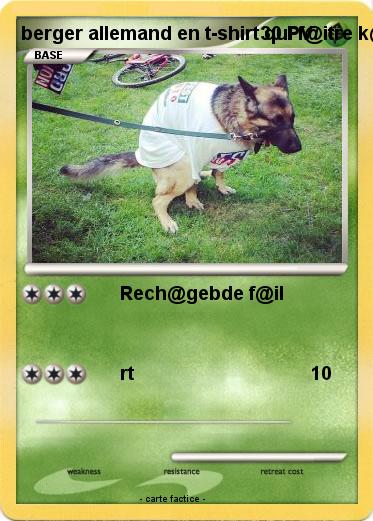 Pokemon berger allemand en t-shirt qui f@itre k@k@