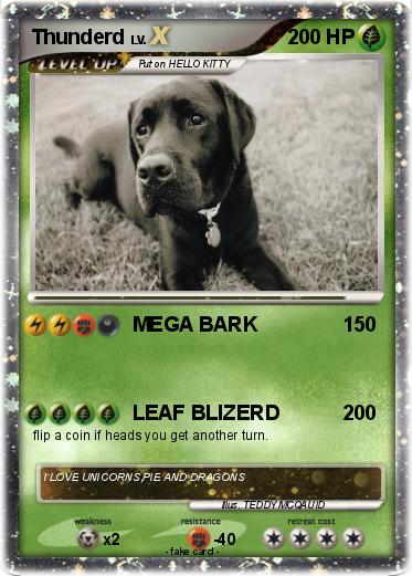 Pokemon Thunderd