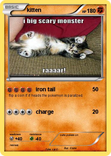 Pokemon kitten