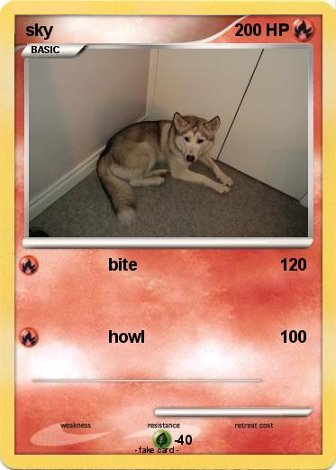 Pokemon sky