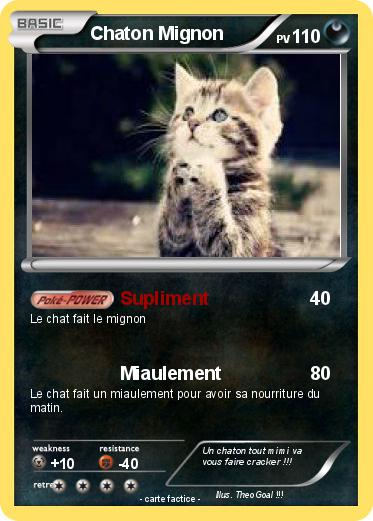 Pokemon Chaton Mignon