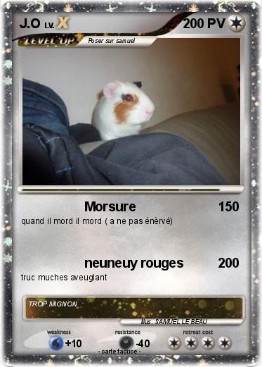Pokemon J.O