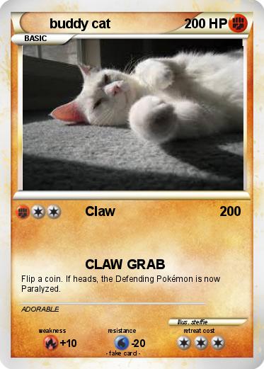 Pokemon buddy cat