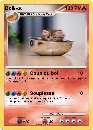 Pokemon Boli