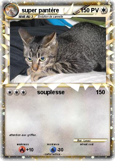 Pokemon super pantère