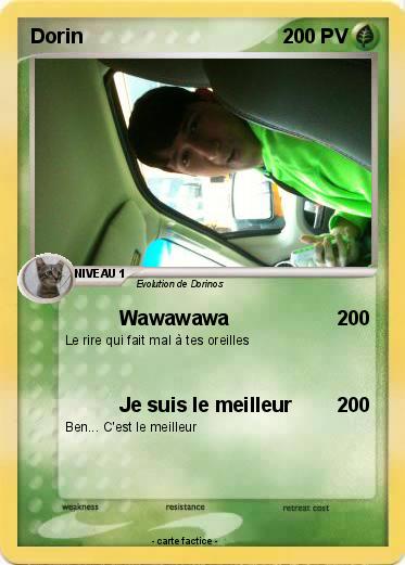 Pokemon Dorin