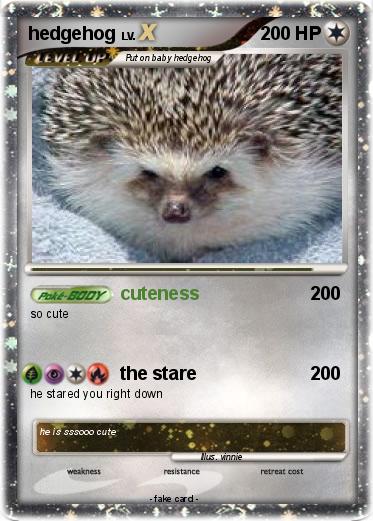 Pokemon hedgehog