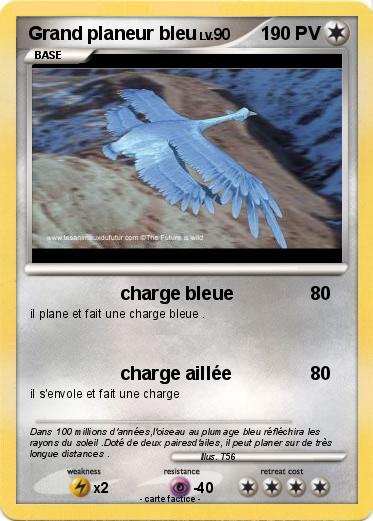 Pokemon Grand planeur bleu