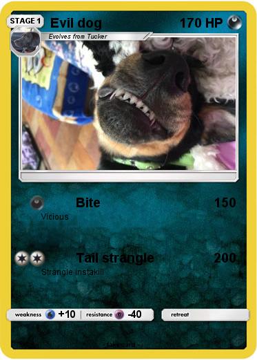 Pokemon Evil dog