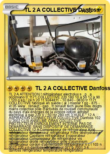 Pokemon TL 2 A COLLECTIVE Danfoss