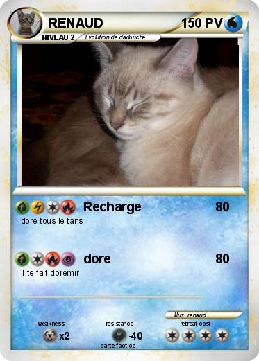 Pokemon RENAUD