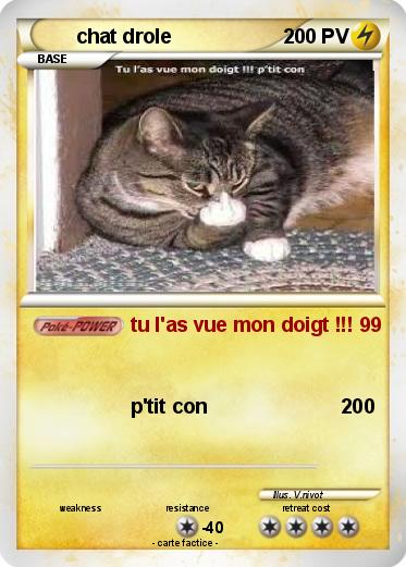 Pokemon chat drole