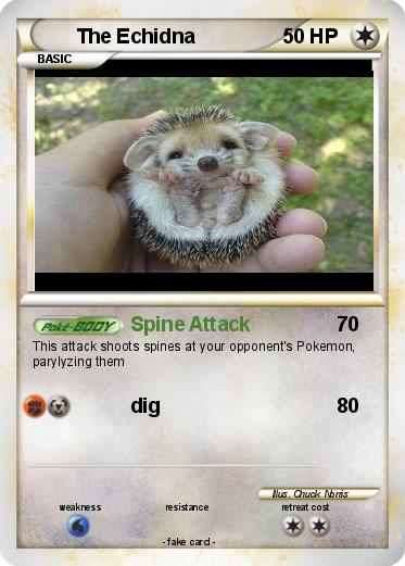 Pokemon The Echidna