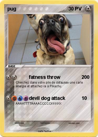 Pokemon pug
