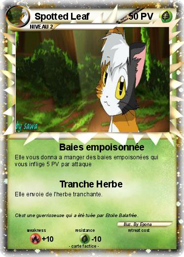 Pokemon Spotted Leaf