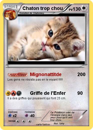 Pokemon Chaton trop chou