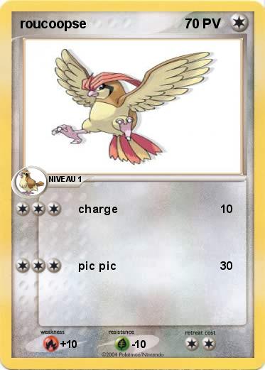 Pokemon roucoopse