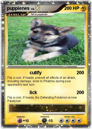Pokemon puppienes