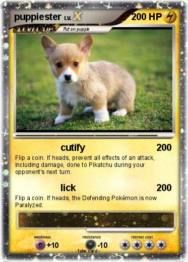 Pokemon puppiester