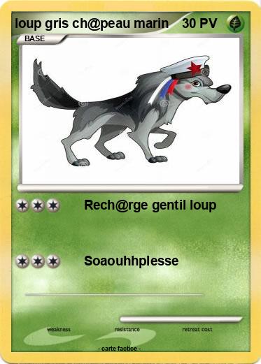 Pokemon loup gris ch@peau marin