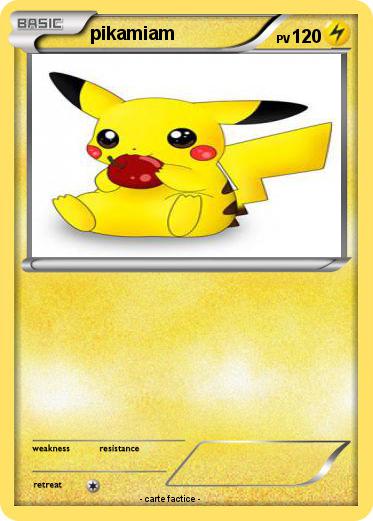 Pokemon pikamiam