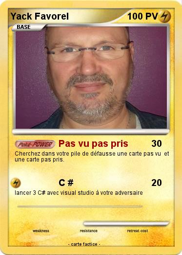 Pokemon Yack Favorel