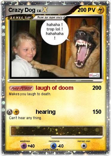 Pokemon Crazy Dog
