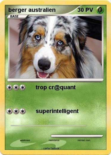 Pokemon berger australien