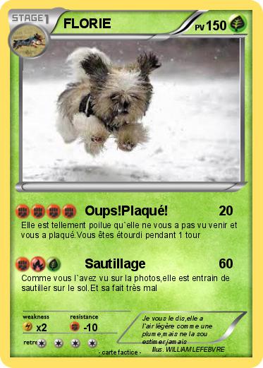 Pokemon FLORIE
