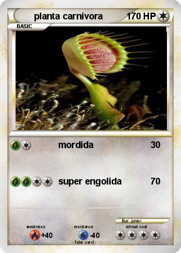 Pokemon planta carnivora