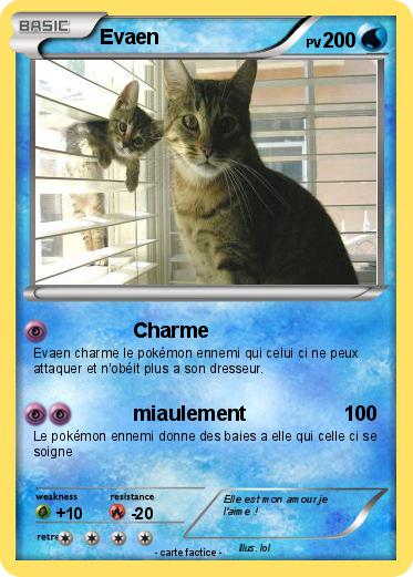 Pokemon Evaen
