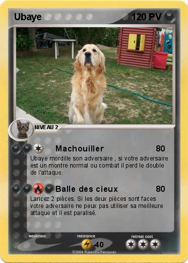 Pokemon Ubaye