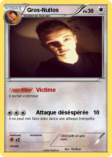 Pokemon Gros-Nullos