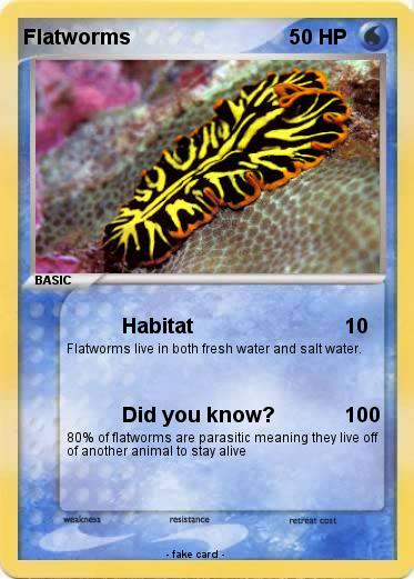 Pokemon Flatworms