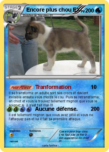Pokemon Encore plus chou EX