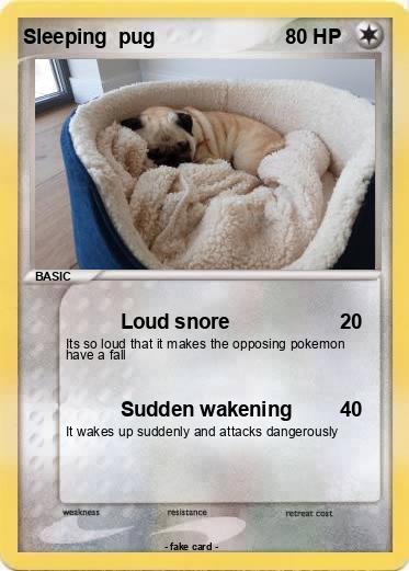 Pokemon Sleeping  pug