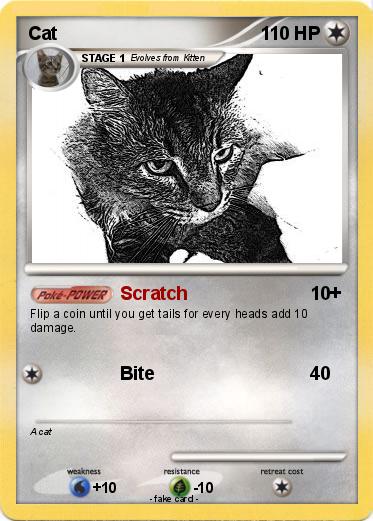 Pokemon Cat