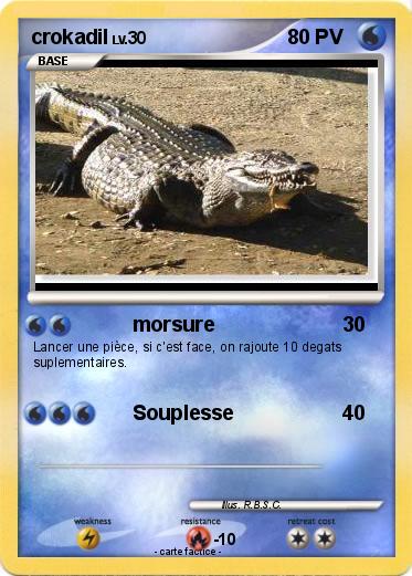 Pokemon crokadil