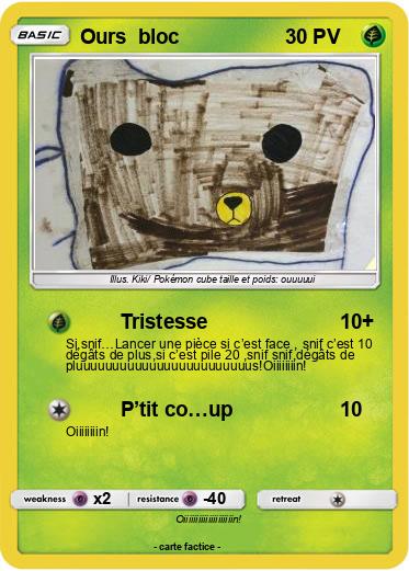 Pokemon Ours  bloc