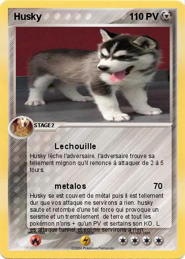 Pokemon Husky
