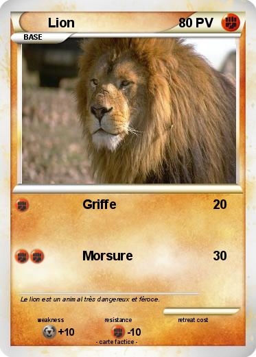 Pokemon Lion