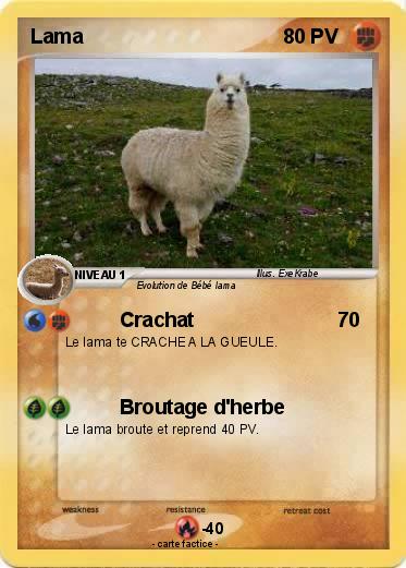 Pokemon Lama