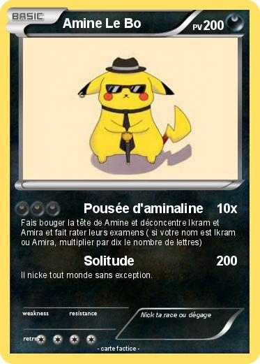 Pokemon Amine Le Bo