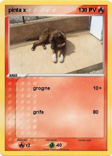 Pokemon pinta x