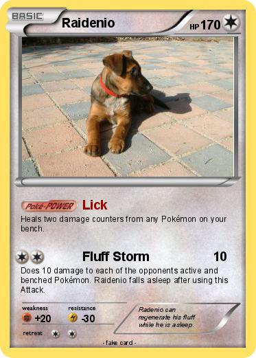 Pokemon Raidenio