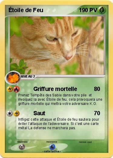 Pokemon Étoile de Feu